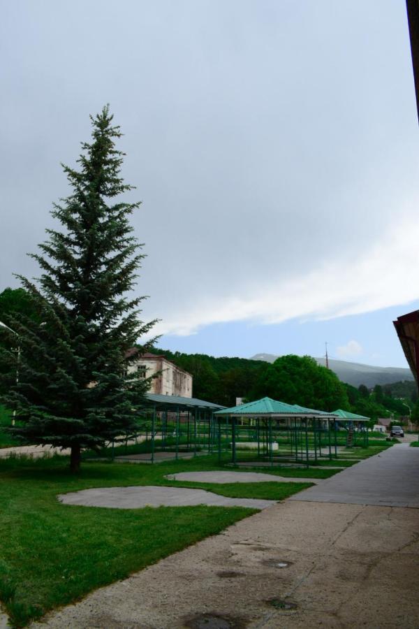 Aliq Hotel Tsaghkadzor Exterior foto